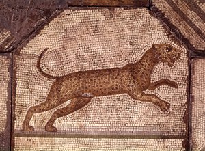 A Leopard (detail)